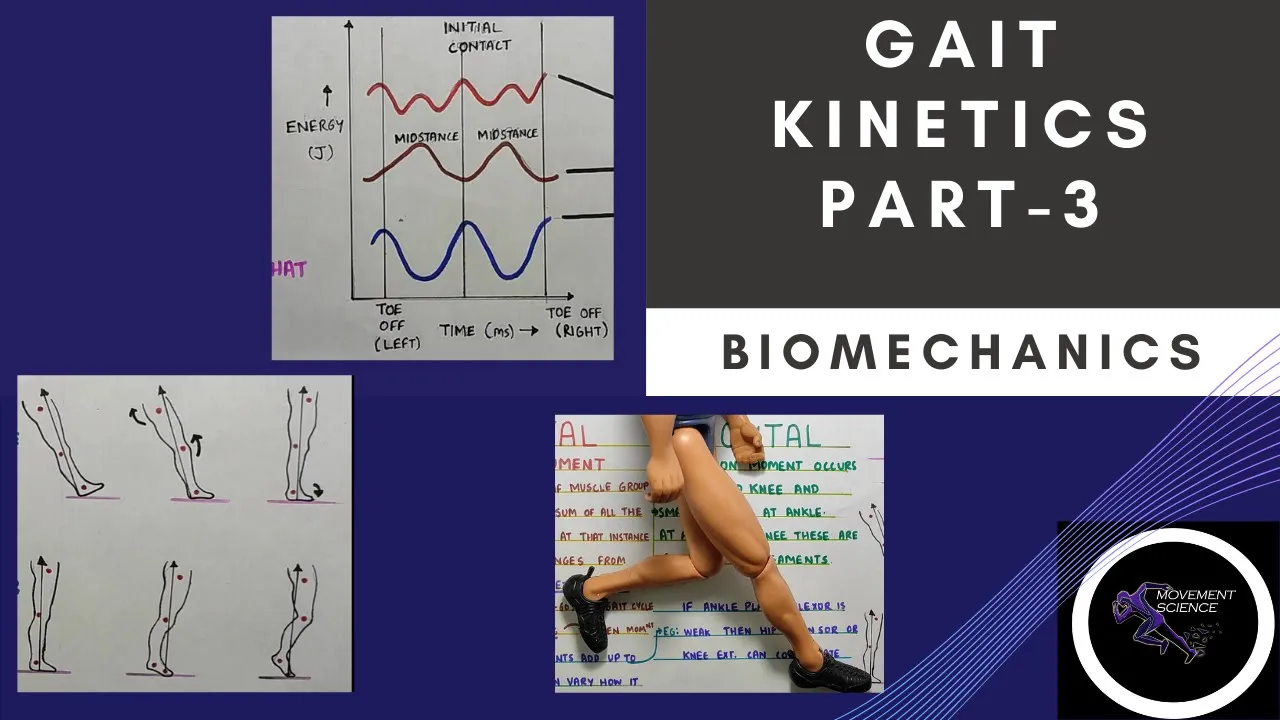 GAIT KINETICS -Part 3 (Gait Biomechanics)Physiotherapy Tutorial
