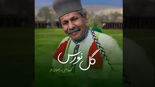 کوروش رضوانی فر   گل نورس دندنها