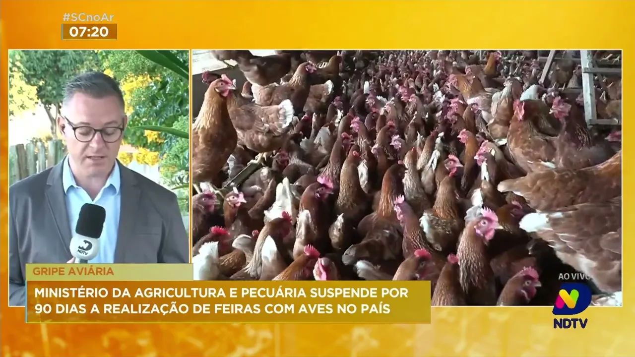 Ministério da Agricultura e Pecuária suspende a realização de feiras com aves no país