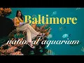 National Aquarium Baltimore Review Is It Worth Visiting