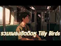 รวมเพลงฮิตติดหู Tilly Birds #เพลงดัง​ #เพลงฮิต #รวมเพลงฮิต