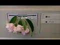 [playlist] Teach Me How To Love