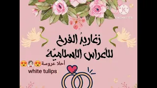 أناشيد أفراح إسلامية ياأحلى عروسة 