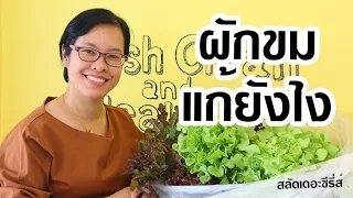 ผักขมแก้ยังไงดี