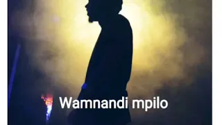 deepsoul yamnandi impilo