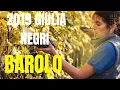 2019 Giulia Negri Barolos - The up coming Barolo producer you need to know
