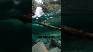 بعد الحزن فرح ومع الحزن يسر دندنها