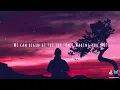 Begin - Shallou (ft. Wales) LYRICS TikTok