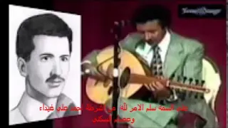 سلم الامر لله  الفنان علي السمه دندنها