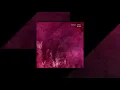 Dylan Sitts - Day Trading