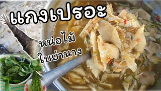 หน่อไม้ที่นำมาทำแกงมีประโยชน์อย่างไรต่อร่างกาย