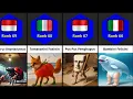 Download Lagu Comparison: Ranking the Rare Italian \u0026 Indonesian Brainrot Animals Memes
