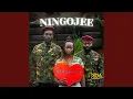 Download Lagu Ningojee