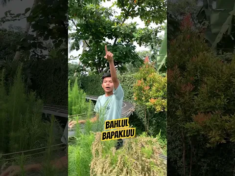 Bahlul Bapak Luu #kaluman