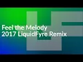 S3RL - Feel the Melody (2017 LiquidFyre Remix)