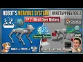 ROS 2 Nodes Topics Explained The Robot s Nervous Systemros2 session2