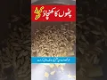 Lagu Pathon ka khichao door karne ka gharelu upay / Pathon k khichao ka ilaj in urdu.