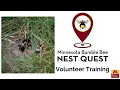 2025 Nest Quest Training