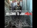 Damian Marley - Road to Zion (feat. Nas) lyrics