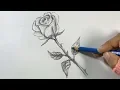 How to Draw a Rose Step by Step Hihi Pencil