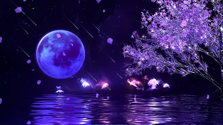 Fall Asleep In Under 3 MINUTES Deep Sleep Journey Healing Of Stress Anxiety And Depressive States 