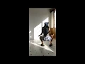 BRITTNEY WHITE TWERK 2020