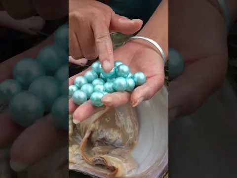 Rural girl finds giant mussel full of rare colorful pearls in river #pearl