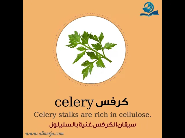 ⁣كيف تلفظ كلمة (كرفس) في اللغة الإنجليزية How to pronounce (celery)