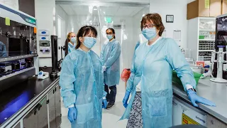 Meet the Team Behind BU s COVID-19 Testing Lab