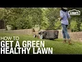 Lawn Care 101 How to Weed Seed Feed Mow Water