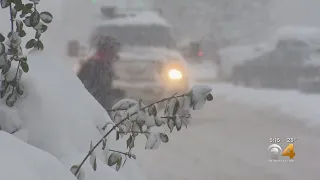 Historic Snow Totals Recorded In Fort Collins