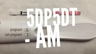 - VLOG
