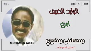 مصطفى مضوي رميه الوليد الضيف 