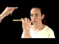 Saccades