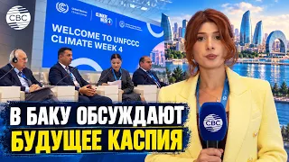 Бакинская климатическая неделя собрала ведущих специалистов по климату
