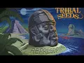 Tribal Seeds- Moonlight (Lyric Video)