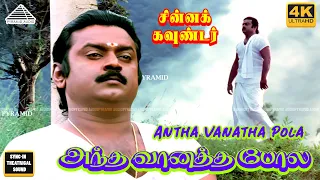antha vanatha pola 4k video song sad version chinna gounder tamil movie vijayakanth ilayaraja