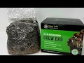 All-in-one Mushroom Grow Bag Start to Finish