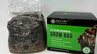 All-in-one Mushroom Grow Bag Start to Finish