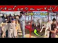 Lagu Karachi Ka Biggest Modern Goat Farm 😍| Lamp \u0026 Goat Show | Abulqasim Goat Farm Qurbani 2026 Special 🔥
