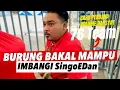 Download Lagu SETTINGAN BARU ‼️MB SUPERPOWER H.hidayat 76 team TAMBAH MEWAH! SERU KALO KETEMU SINGOEDAN