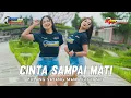 DJ CINTA SAMPAI MATI - FIKO 88 CHANNEL | Dj Viral TikTok Terbaru 2022 Yang Kalian Cari