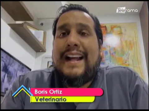 Muere el primer perro que dio positivo en prueba de covid-19 en EE.UU