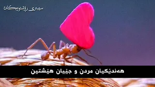 يا راحلا والله لن أنساك أبدا 