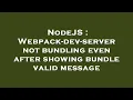 NodeJS Webpack-dev-server not bundling even after showing bundle valid message