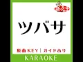 ツバサ (カラオケ) (原曲歌手:アンダーグラフ)