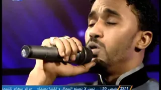 أحمد الصادق قامتك نخيل 