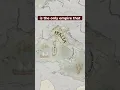 Download Lagu HRE Secrets  #crusaderkings3