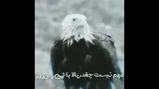                     دندنها