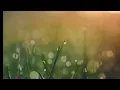 Download Lagu david iztambul  - Tatutuik Jaso Dek Bansaik Diri